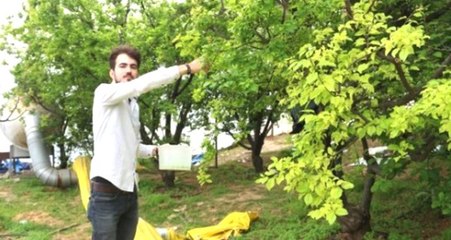 Eriğin Ateşi Söndü! Kilosu 5 TL'den Satılıyor