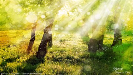 Pachelbel-s Canon in D ★ Best version ★ 3 Hours ★