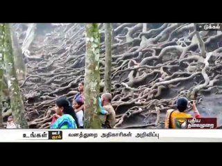 Guna Caves in Kodaikanal to be open for tourists after 10 years