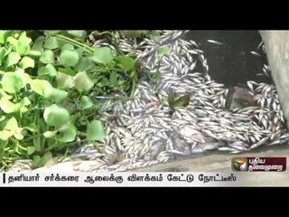TNPCB arise notice to private sugar mill for the reason of Thousands of Fishes died