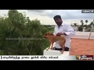 Medical students who threw a dog from terrace, pay up the fine and resume their studies
