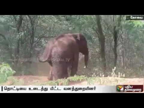 Forest officials rescue elephant from water tank & monitor it to ensure that it rejoins its group