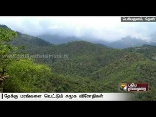 Complaint regarding illegal cutting of teak wood in Theni forest area