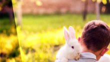 Tiere, die am freundlichsten zu Menschen sind