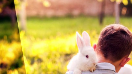 Tiere, die am freundlichsten zu Menschen sind