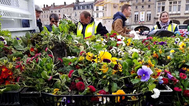 Les fleurs du jardin de Pâques de Pont-à-Mousson distribuées