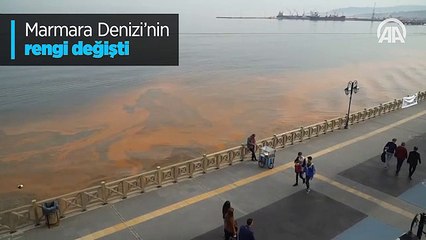 Marmara Denizi'nin rengi değişti
