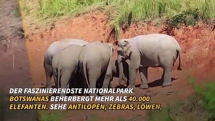 Die 5 schönsten Reservate Afrikas