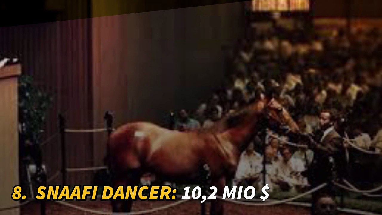 Die 10 teuersten Pferde der Welt