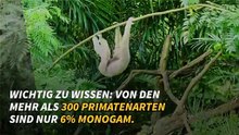 Die treuesten Tiere der Welt