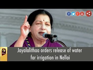 CM Jayalalithaa orders release of water for irrigation in Nellai