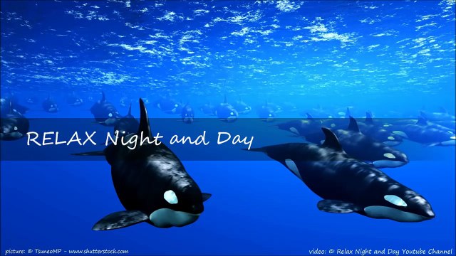 Delta Waves- 9 HOURS Whales + Relaxing Music to Help you Sleep, Deep Sleep, Inner Peace ☯ 2