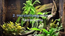 Wie macht man ein lebend Terrarium?