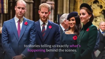 Why Prince Harry And Kate Middleton Were Seen Laughing Together Despite Feuding??