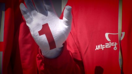 '친박' 맞춤형 정보 수집...경찰 간부 2명 구속영장 / YTN