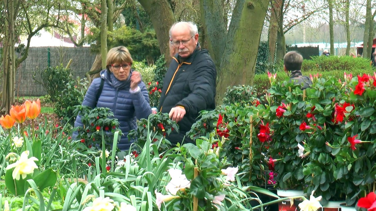 Sorties : La semaine du végétal c’est en ce moment ! - 26 Avril 2019