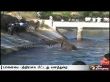 Forest officials rescue elephant which fell into canal in Udumalpet