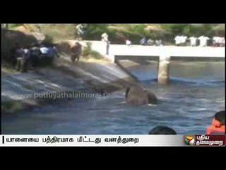 Forest officials rescue elephant which fell into canal in Udumalpet