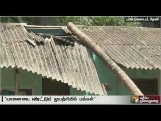 Magna elephant kills seven persons in Gudalur: People panic | Special report