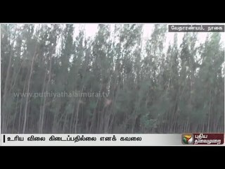 TN government should directly procure casuarina, say Nagai farmers