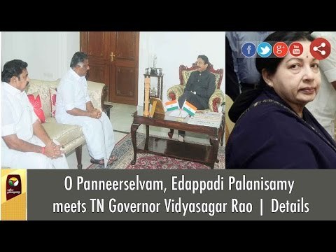 O Panneerselvam, Edappadi Palanisamy meets TN Governor Vidyasagar Rao | Details