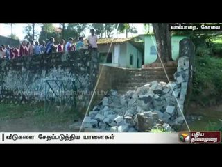 Wild elephants damage plantation workers' houses