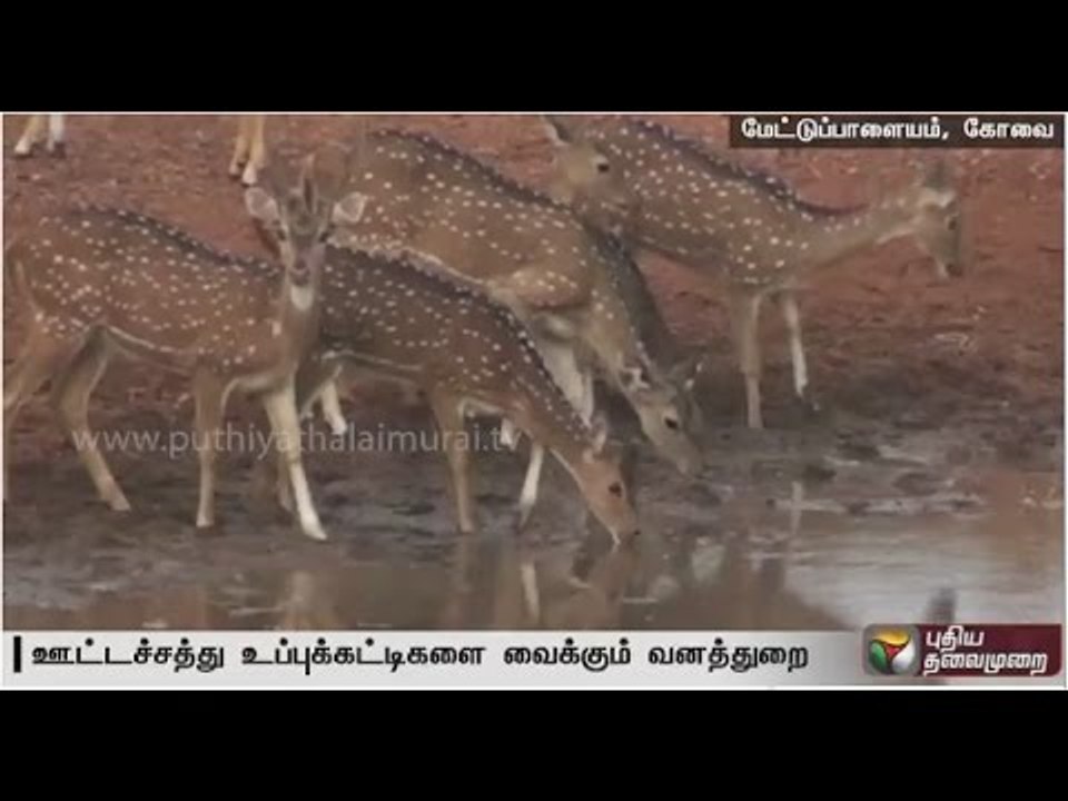 Water scarcity: Forest dept. fills empty tanks in Mettupalayam forest for animals