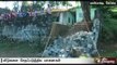 Wild elephants damage plantation workers' houses