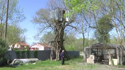 Ağaçların Üzerinde 9 Metre Yükseklikte Kulübe