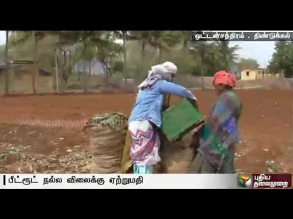 Dindigul farmers happy as beetroot gets good price for export