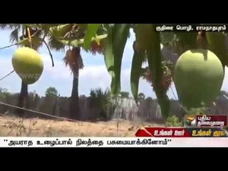Graduates adopt organic farming in Ramanathapuram, see good yield | Special report