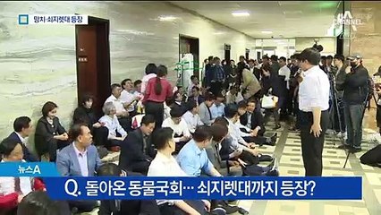 헌정 최초 ‘전자입법’ 발의…절차상 문제는 없나?