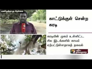 The bear which had entered residential area in Tirunelveli, has gone into the forest area