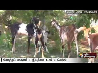 Success of  graduates in developing an integrated farm with organic fertilizers