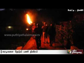 Search for wild bears believed to be roaming around