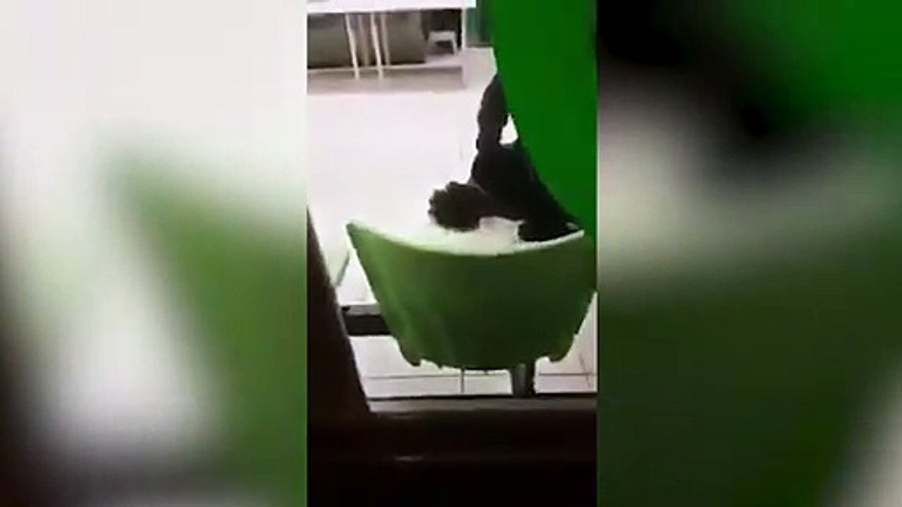 Un individuo entra en una lavandería con un cuchillo de grandes dimensiones y un Corán en el País Vasco