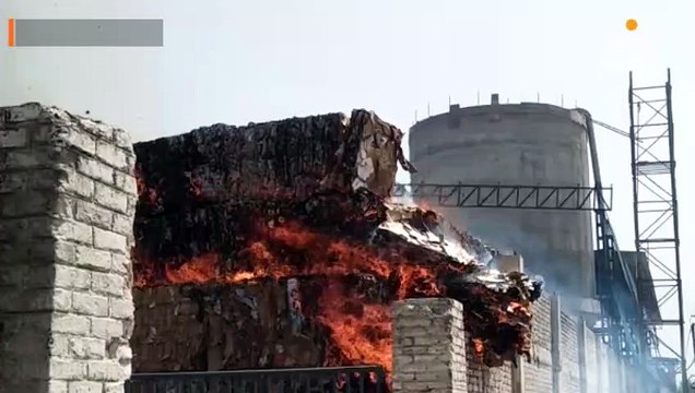 पेपर मिल में भीषण आग लगने से लाखों का नुकसान; दमकल की तमाम गाड़ियां मौके पर