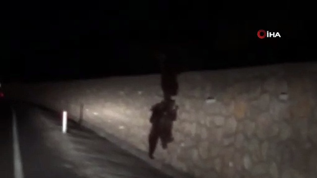 Yola inen ayılar kamerada