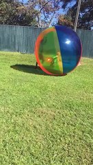 Big Ball Sends Little Girl Flying
