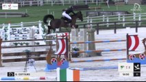GN2019 | SO_01_Jardy | Pro Elite Grand Prix (1,50 m) Grand Nat | Gregory COTTARD | REGATE D'AURE