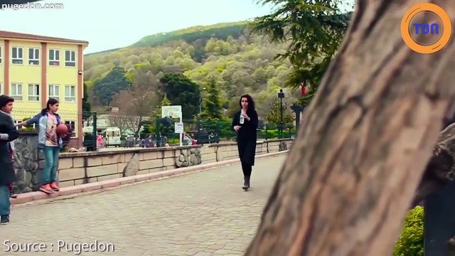 À Istanbul, ces distributeurs offrent de la nourriture aux chiens en échange de bouteilles plastiques !