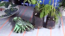 Métro Bricole - fines herbes dans un pot Mason