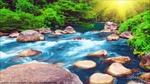 Relaxing Nature Sounds - Water Sound 24 Hours, Gentle River & Stream