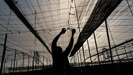 El Ejido: Spaniens Vox-Hochburg