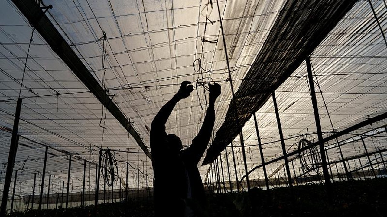 El Ejido: Spaniens Vox-Hochburg