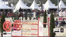 GN2019 | SO_02_Deauville | Pro Elite Grand Prix (1,50 m) Grand Nat | Allan PACHA | VALLAURIS