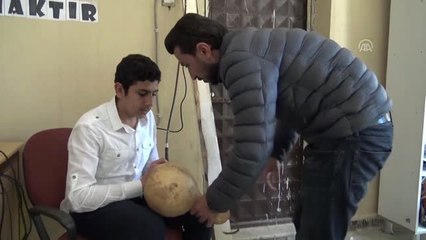 Su Kabakları Süs Eşyasına Dönüşüyor