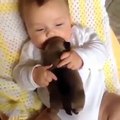 Ce bébé adore faire des bisous à son chiot. Trop cute !