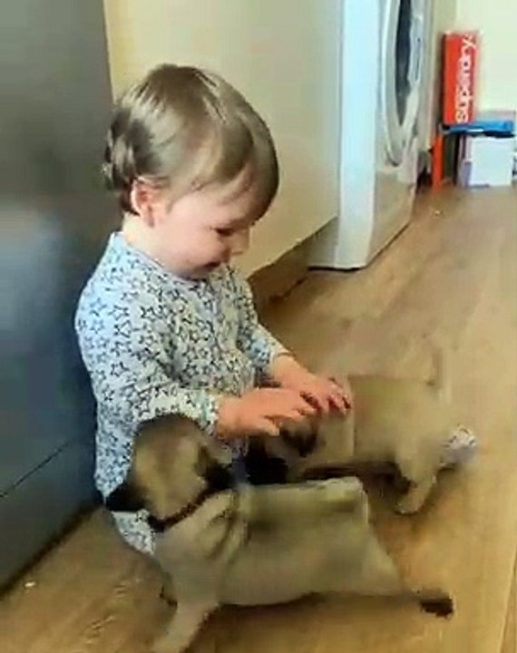 Quand bébé aime beaucoup jouer avec les chiots, voici ce que ça donne  !!