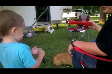 Most Amazing of Cute Kids And Pets